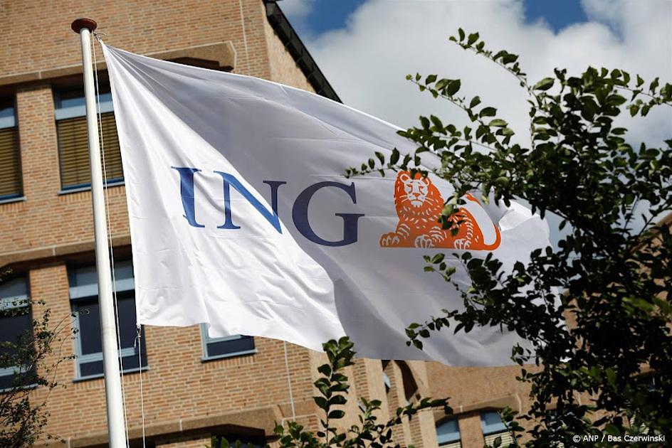 ING: Huiseigenaren zitten niet te wachten op overheidsinmenging bij verduurzaming